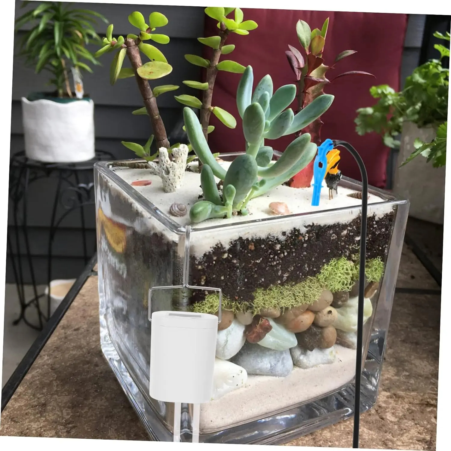 Home Improvement Tool Time - Automatic Plant Flower Watering Pump Home