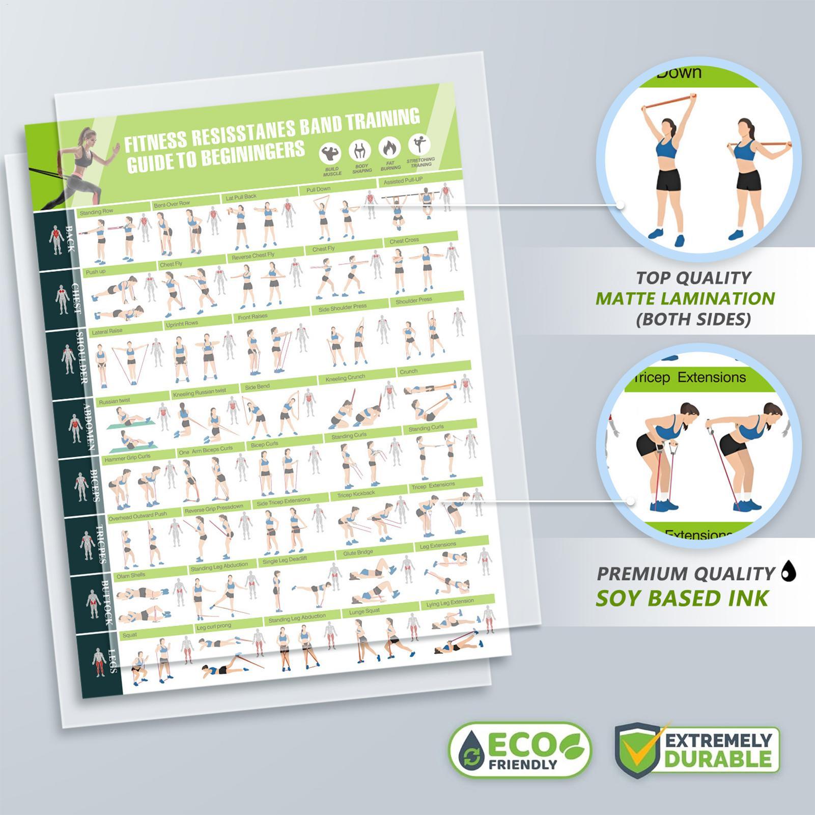 Fitness Chart Yoga Pose Chart  - Home Improvement For Beginners ulasan dan harga